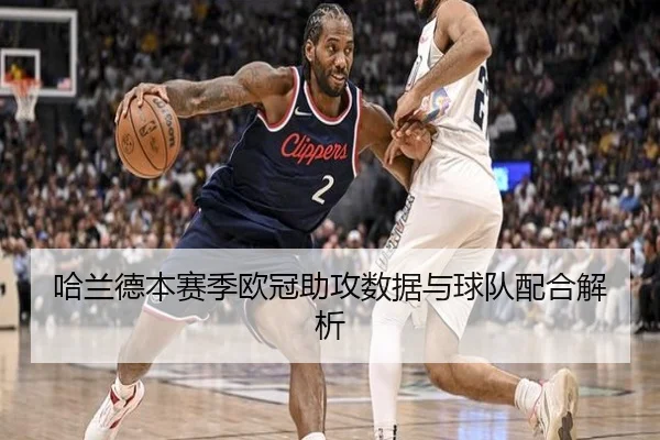 哈兰德本赛季欧冠助攻数据与球队配合解析